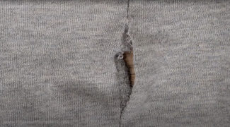 Repair a damaged seam in shirts, plush toys or pants